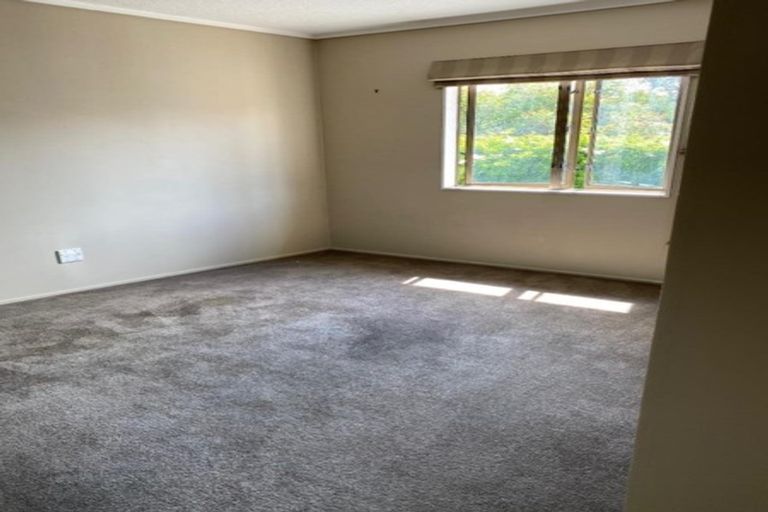 Photo of property in 13 Riley Place, Fitzroy, Hamilton, 3206