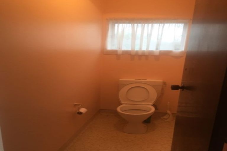 Photo of property in 26 Silva Crescent, Riverlea, Hamilton, 3216