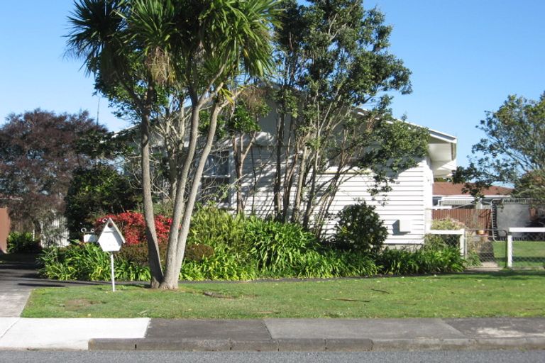 Photo of property in 19 Winiata Terrace, Papakura, 2110
