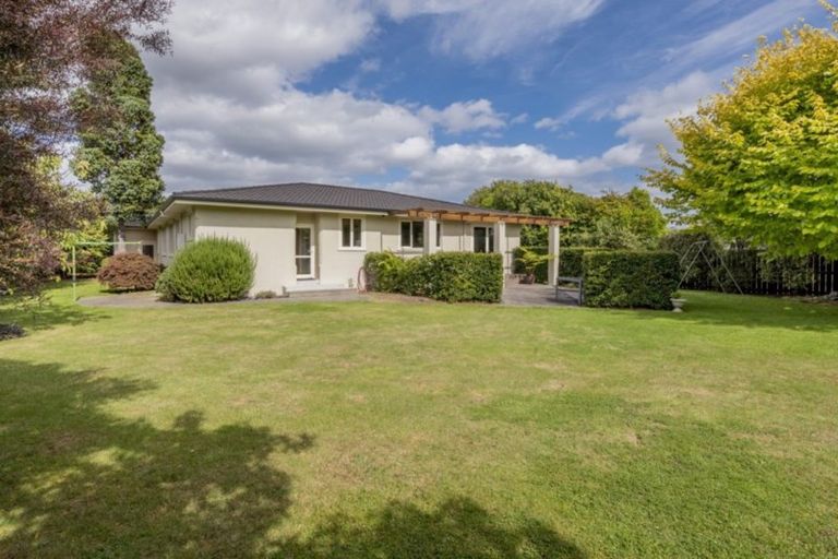 Photo of property in 50 Chester Street, Levin, 5510