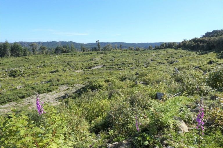 Photo of property in 756b Rutherglen Road, Marsden, Greymouth, 7872