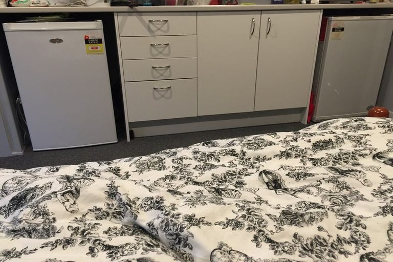 Photo of property in 36 Park Street, North Dunedin, Dunedin, 9016