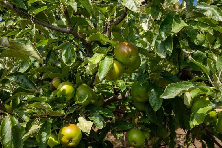 Photo of property in 711c Cable Bay Road, Cable Bay, Nelson, 7071