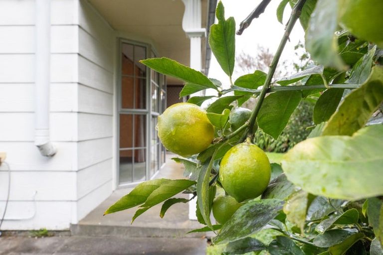 Photo of property in 44 Dewe Avenue, Feilding, 4702