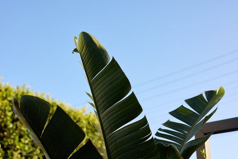 Photo of property in 44 Te Ngaio Road, Mount Maunganui, 3116