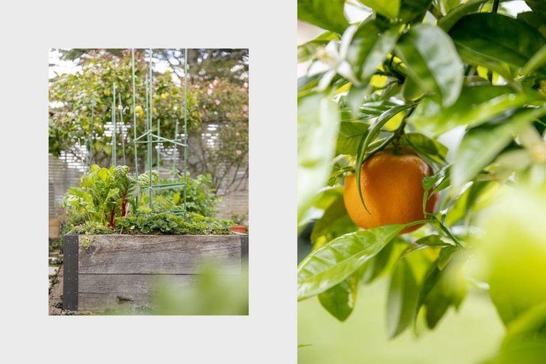 Photo of property in 25 Grace Road, Tauranga South, Tauranga, 3112