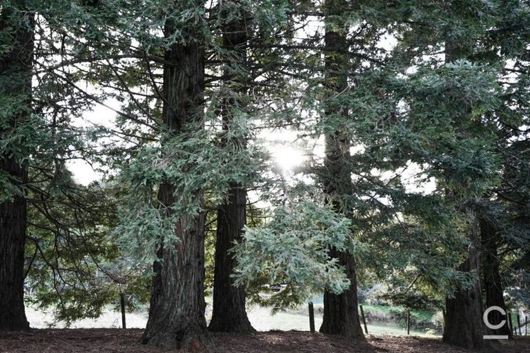 Photo of property in 104 Crawford Road, Minden, Tauranga, 3171