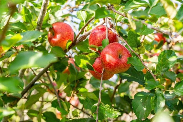 Photo of property in 3 Mahurangi East Road, Snells Beach, Warkworth, 0982