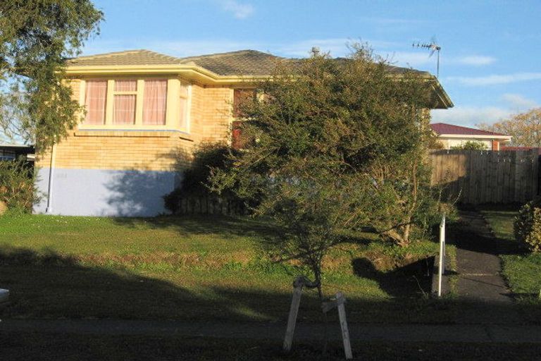 Photo of property in 19 Mcintosh Street, Chartwell, Hamilton, 3210