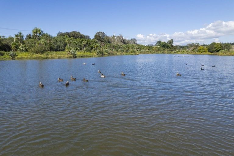 Photo of property in 2195d State Highway 2, Aongatete, Katikati, 3181