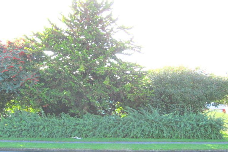 Photo of property in 54 Baird Road, Tokoroa, 3420