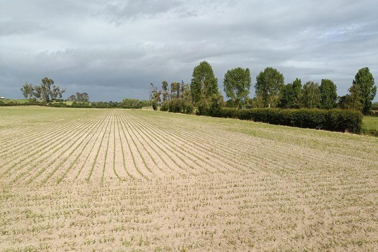 Photo of property in 53 Friedlander Road, Eureka, Hamilton, 3287