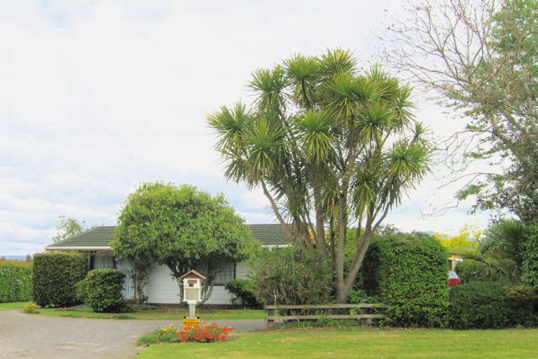 Photo of property in 12 Alexander Street, Katikati, 3129