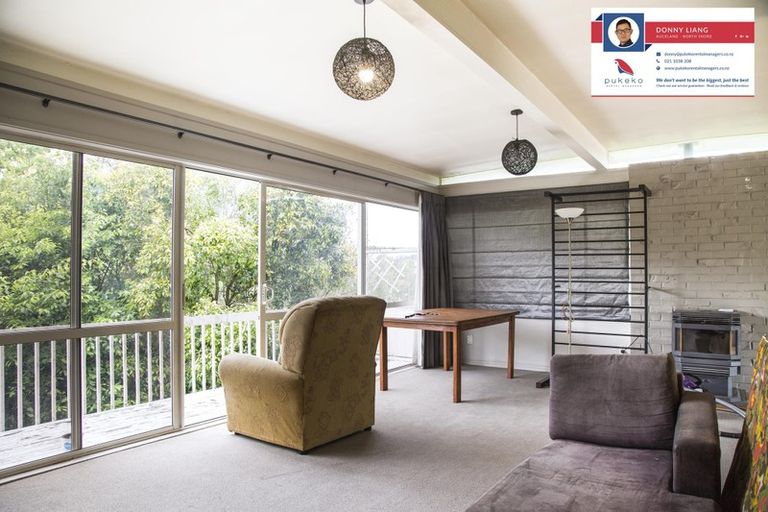 Photo of property in 52 Lynden Avenue, Hillcrest, Auckland, 0627