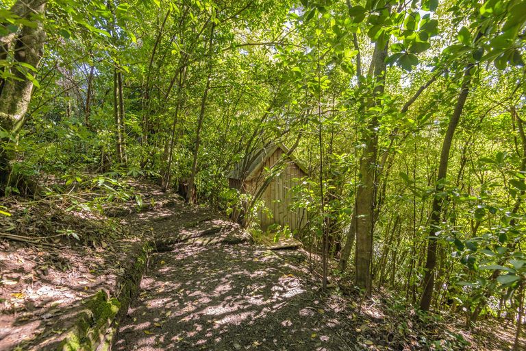 Photo of property in 36 Clifton Terrace, Fitzherbert, Palmerston North, 4410