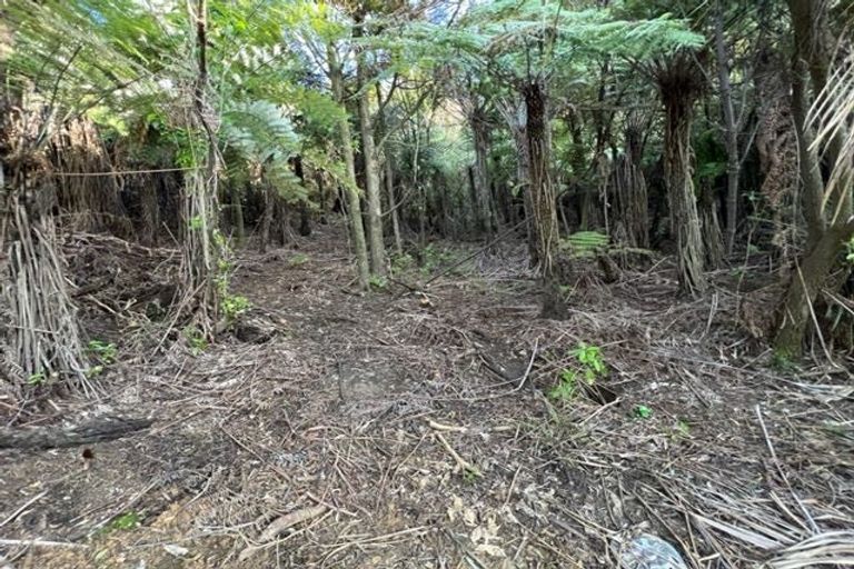 Photo of property in 211 Krippner Road, Puhoi, Warkworth, 0994