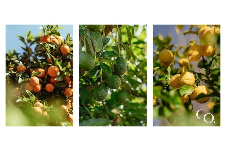 Photo of property in 24 Plane Tree Lane, Tauriko, Tauranga, 3110