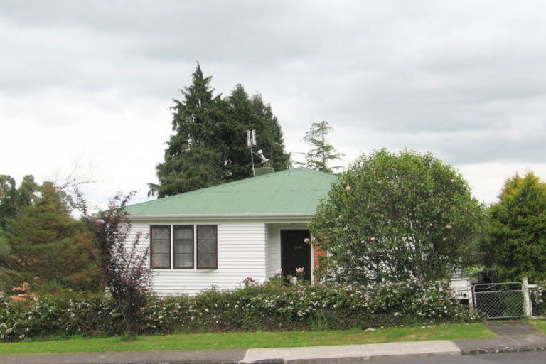 Photo of property in 14 Gilchrist Street, Te Aroha, 3320