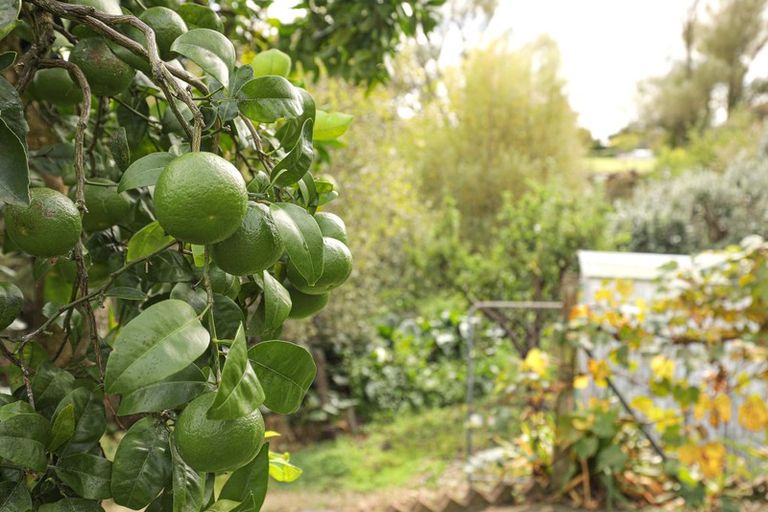 Photo of property in 4 Herbert Street, Te Aroha, 3320