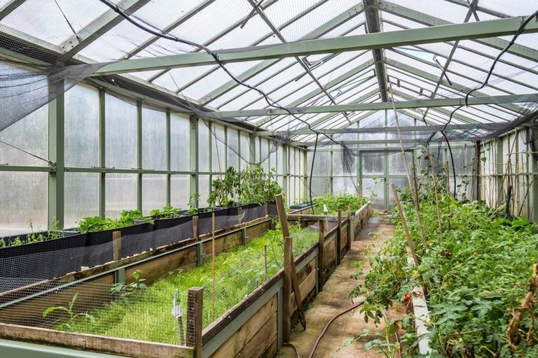 Photo of property in 814 Mikimiki Road, Mikimiki, Masterton, 5881