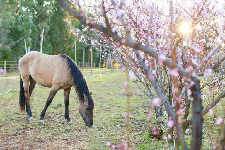 Photo of property in 65 Butterfield Road, Hawea Flat, 9382