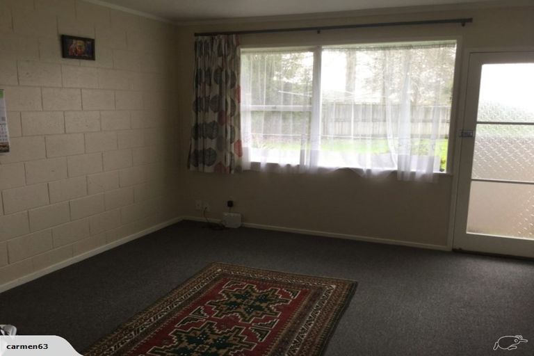 Photo of property in 52 Buscomb Avenue, Henderson, Auckland, 0610