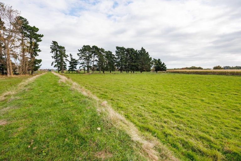 Photo of property in 82 Flygers Line, Milson, Palmerston North, 4478