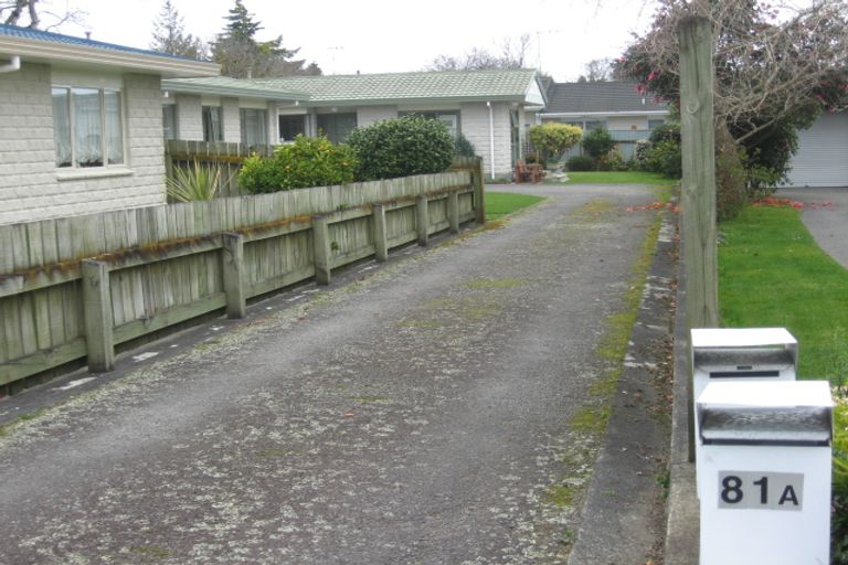 Photo of property in 81a Winchester Street, Levin, 5510