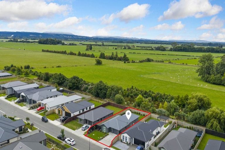 Photo of property in 55 Henshaw Street, Woodend, 7610