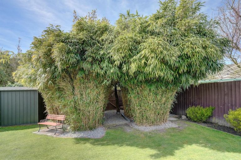 Photo of property in 16 Norfolk Street, St Albans, Christchurch, 8052