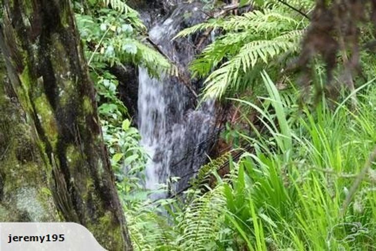 Photo of property in 113 Veale Road, Ridgewood, New Plymouth, 4371