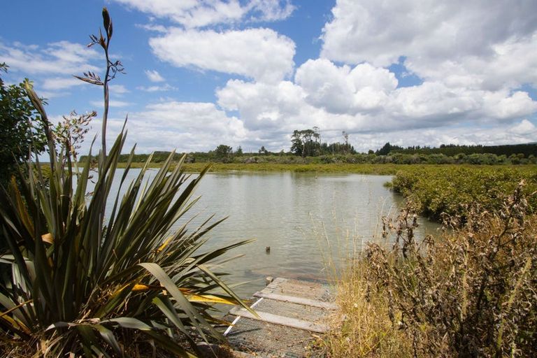 Photo of property in 8 Bransley Grove, Katikati, 3129