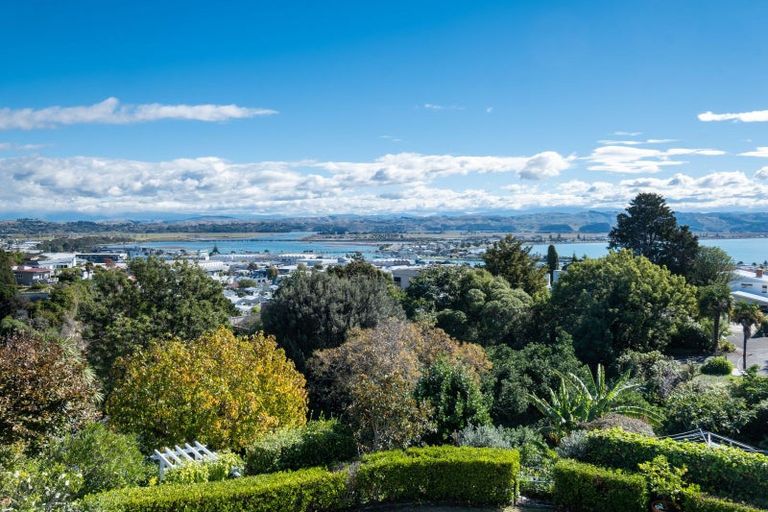 Photo of property in 22 Coleman Terrace, Hospital Hill, Napier, 4110
