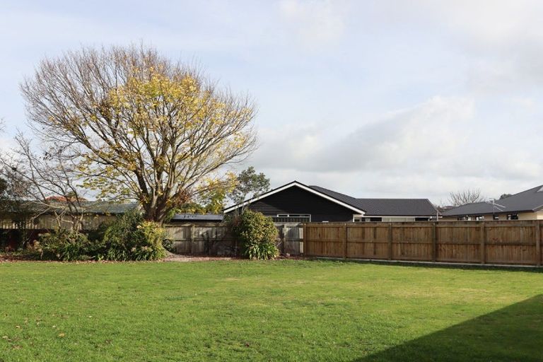 Photo of property in 41a North Street, Feilding, 4702