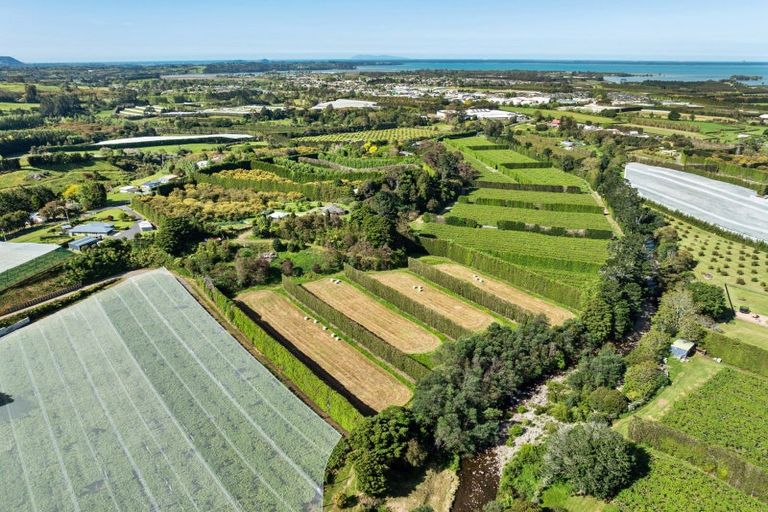 Photo of property in 85 Wharawhara Road, Tahawai, Katikati, 3178