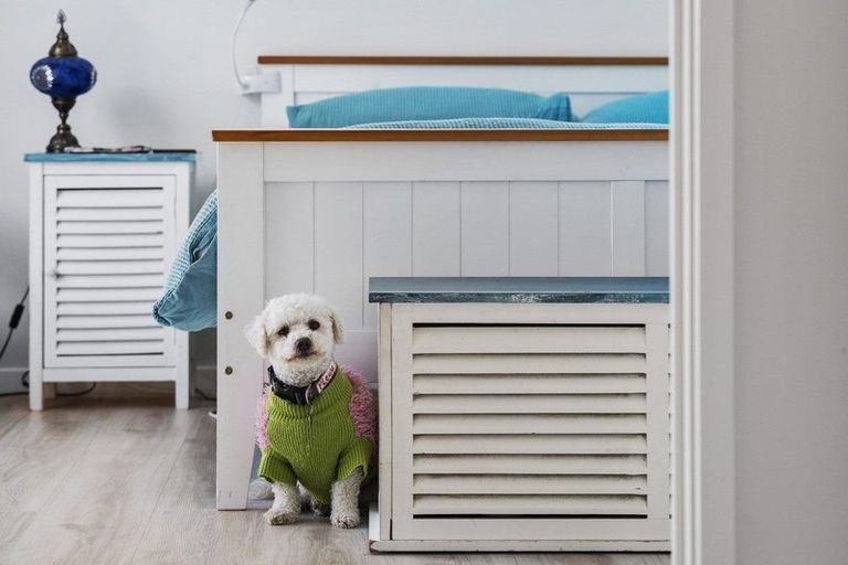 Photo of property in 16b Komata Crescent, Papamoa Beach, Papamoa, 3118