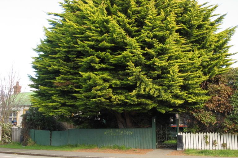 Photo of property in 51 Sherborne Street, St Albans, Christchurch, 8014