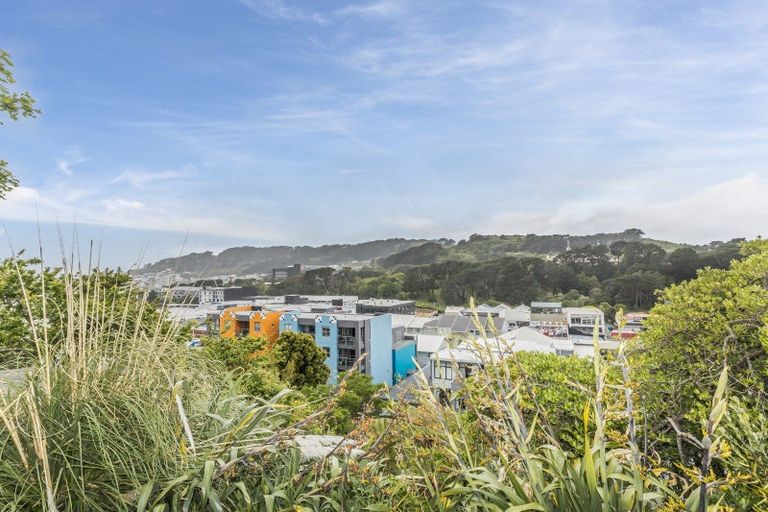 Photo of property in 173 Tasman Street, Mount Cook, Wellington, 6021