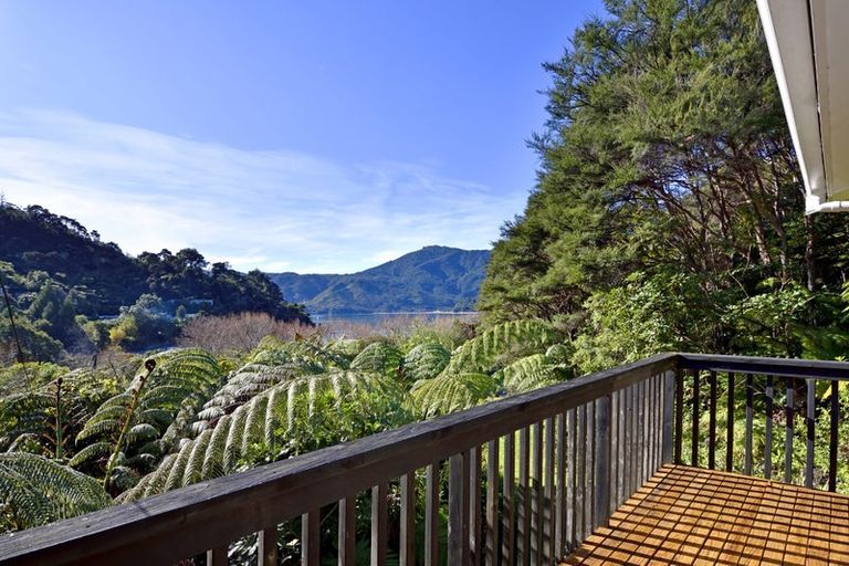 Photo of property in 38 Hope Drive, Okiwi Bay, 7193