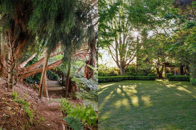 Photo of property in 56 Saint James Drive, Huntington, Hamilton, 3210