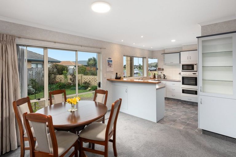 Photo of property in 17 Crichton Terrace, Mount Maunganui, 3116