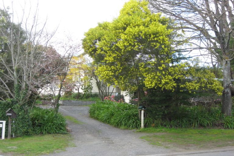 Photo of property in 31 Chambers Street, Havelock North, 4130