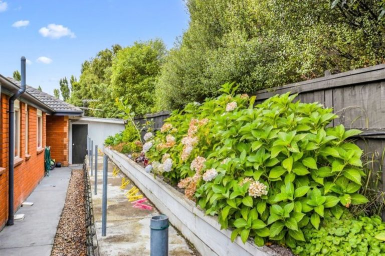 Photo of property in 15a O'neill Avenue, Northwood, Christchurch, 8051