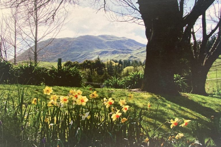 Photo of property in 1664 Kahuranaki Road, Kahuranaki, Havelock North, 4295