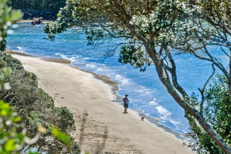 Photo of property in 17 Bournemouth Terrace, Murrays Bay, Auckland, 0630