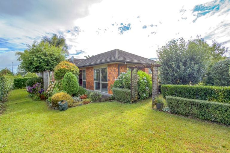 Photo of property in 19 Cambridge Street, Putaruru, 3411