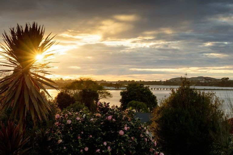 Photo of property in 41 Hampton Terrace, Parkvale, Tauranga, 3112