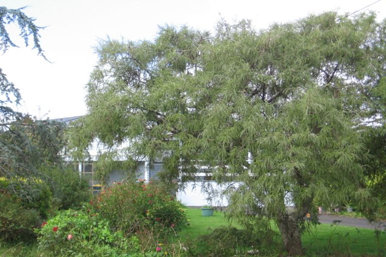 Photo of property in 8 Stephen Avenue, Henderson, Auckland, 0610