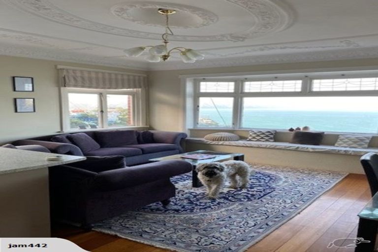 Photo of property in 126 Grafton Road, Roseneath, Wellington, 6011