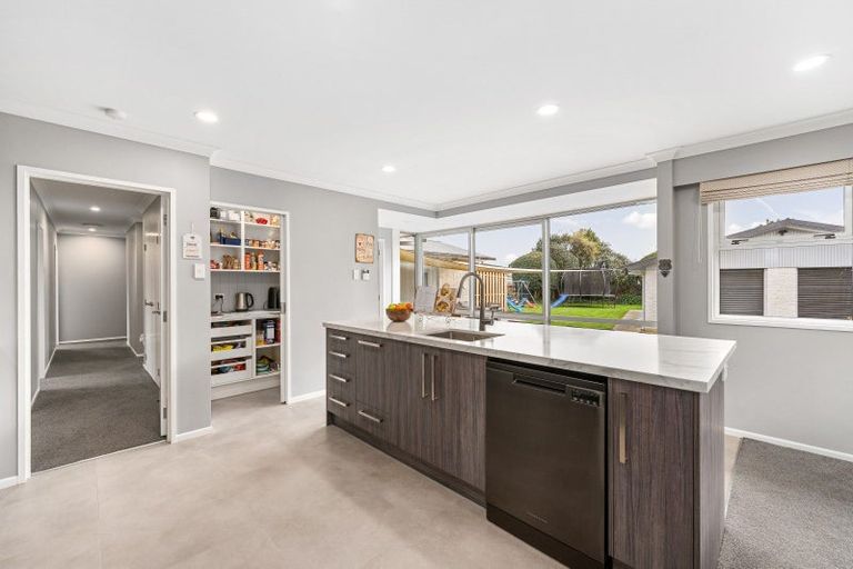 Photo of property in 123 Dittmer Drive, West End, Palmerston North, 4412